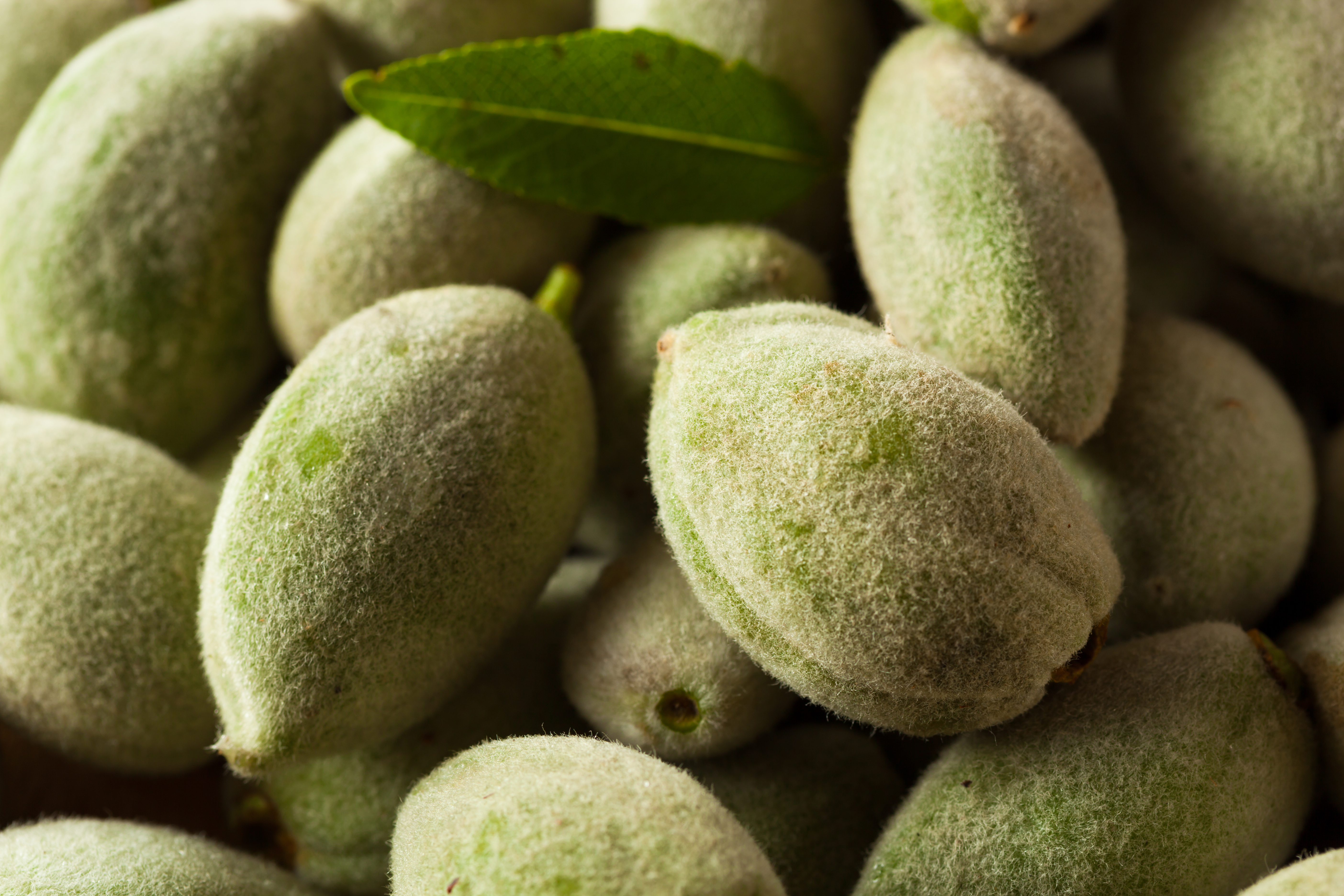 Nutritional Benefits of Green Almonds